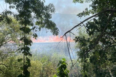 Bursa'da ekin tarlasında yangın!