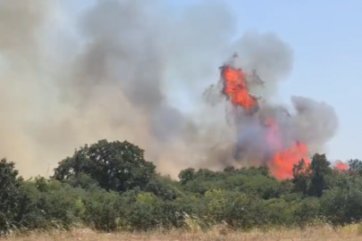 Bursa'da metrelerce alevler yükseldi!
