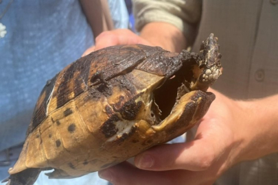 Bursa'da görenlerin içini yakan kare!