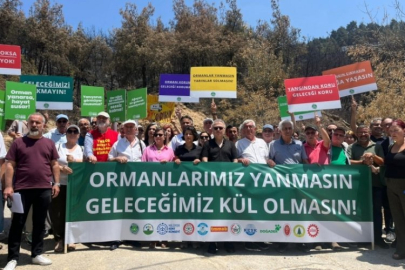 Bursa'daki odalar orman yangınlarına dikkat çekti!