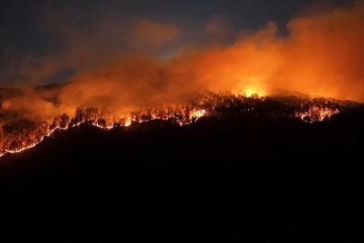 Çankırı'da 4 gün önce yanan alanda yeniden orman yangın çıktı