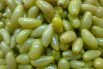 Ne salatalık, ne biber! Bu turşu çerez gibi gider...