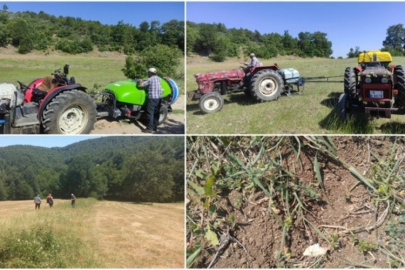 Bursa'yı adeta istila ettiler! Karar alındı...