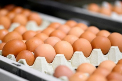 20 milyondan fazla yumurta geri çağrıldı! Sakın tüketmeyin!