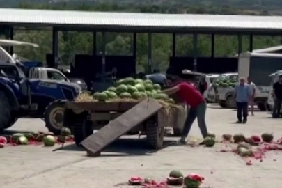 Çiftçi kendi kaybetti! Hepsini parçaladı...
