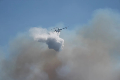 İzmir'de orman yangını