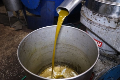 Zeytinde stoklar yeterli mi? Açıklama geldi...