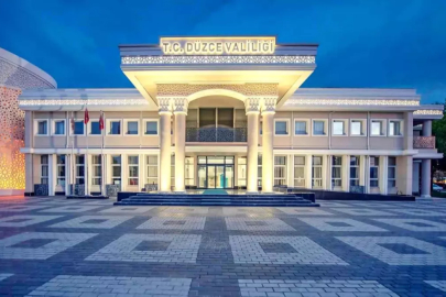 Düzce'de Sahipsiz Sokak Hayvanları Toplama İhalesinde Soruşturma Başlatıldı