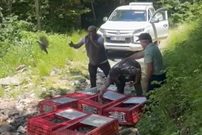 Mücadele için doğaya yeni kahramanlar salındı