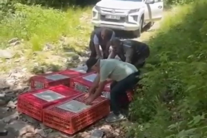 Bursa'da kene ile mücadele ekipleri sahada!