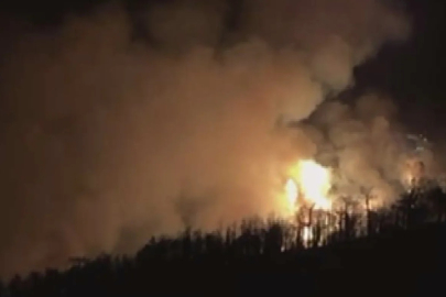 Konya'daki orman yangını 2'nci gününde