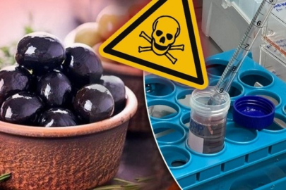 Zeytin değil zehir! Uzmanlar korkunç sonuçla karşılaştı