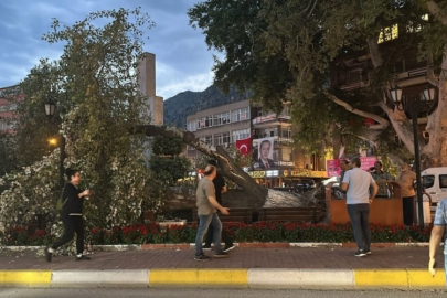 5 asırlık ağaç yerle bir oldu!