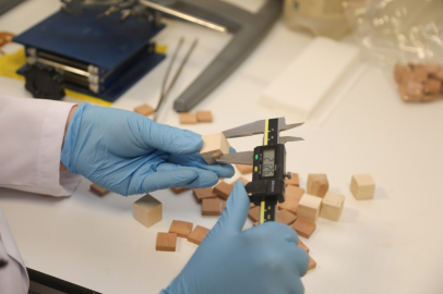 BTÜ’den yerli odun türlerini mobilya ve yapı sektörüne kazandıracak proje