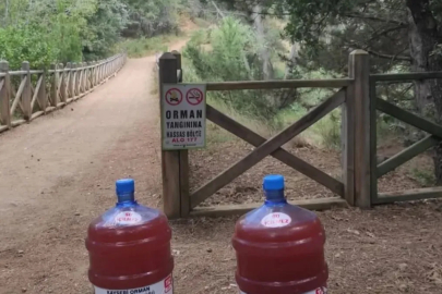 Bu damacanaları görürseniz şaşırmayın: İşte sebebi