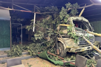 Kamyon metrelerce yükseklikten bahçeye uçtu!