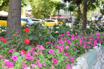 Yenişehir'in kalbi çiçek açtı!