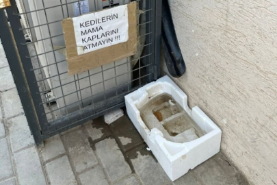 Bursa'da hayvanseverlerden örnek davranış!