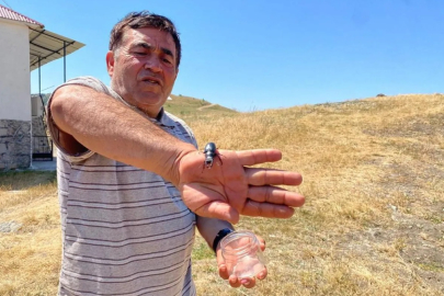 Öldürmenin cezası 557 bin TL: Duyan elini bile sürmüyor...