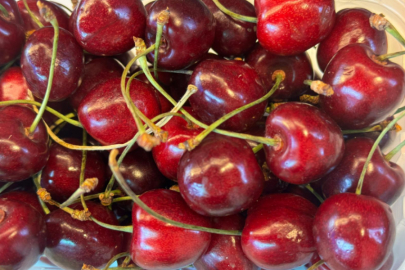 Bursa'da o meyvenin tanesi 7 TL oldu! Görenler hayrete düştü...