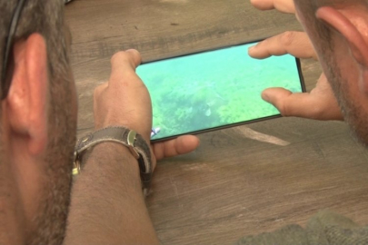 Marmara Denizi'nde ilk kez görüntülendi!