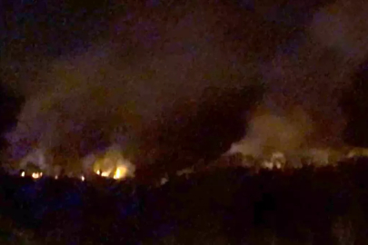 Bilecik'te Yangın: Buğday Tarlasından Ormana Sıçradı