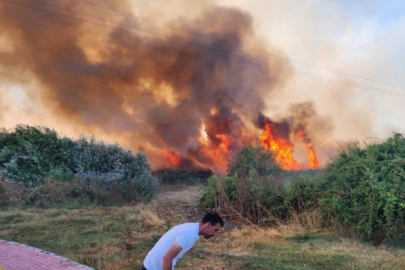 Bursa'da çiftlikte çıkan yangın 3 yere sıçradı!