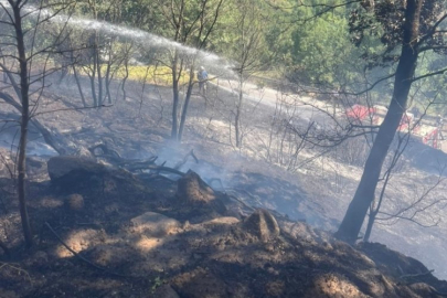 Bursa'da korkutan yangın kontrol altında!
