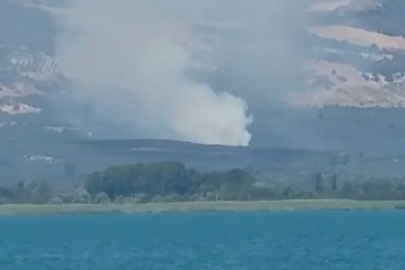 İznik'te orman yangını