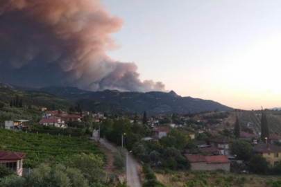 Sakarya alarma geçti! Dumanlar Bursa'dan görülüyor...