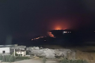 Sakarya'da Orman Yangını: Ekipler Seferber Oldu