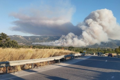 Sakarya'da yangın kısmen kontrol altında! Ekiplerin mücadelesi sürüyor...