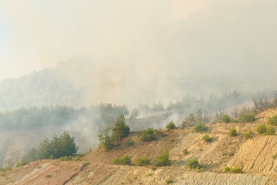 Tarihi İpek Yolu yanıyor