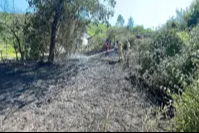 Bartın'da Kırık Soda Şişesi Yangın Çıkardı