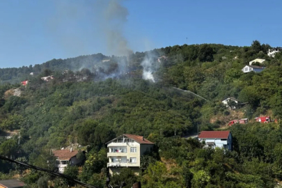 Beykoz'da ormanlık alanda yangın