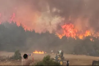 Bilecik'teki orman yangınından ürküten görüntüler