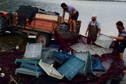 Bursa'da sezon başlıyor! Hedef 400 ton...