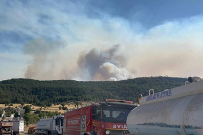 Eskişehir'deki yangında 10 orman işçisi şehit oldu