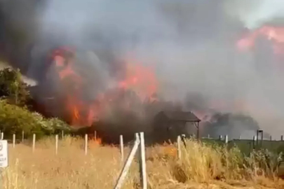 İzmir'de Tarım Arazisinde Yangın Çıktı