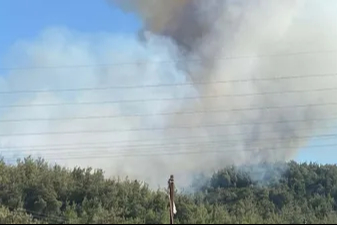 Manisa'da ormanlık alanda yangın çıktı