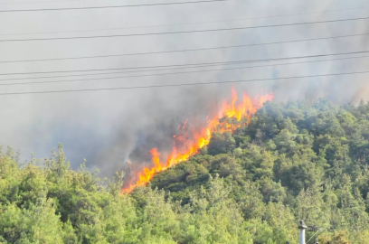 Manisa'daki Orman Yangınına Hızla Müdahale Ediliyor
