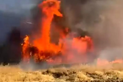 Yalova'da Tarlada Yangın: Yüzlerce Saman Balyası Kül Oldu