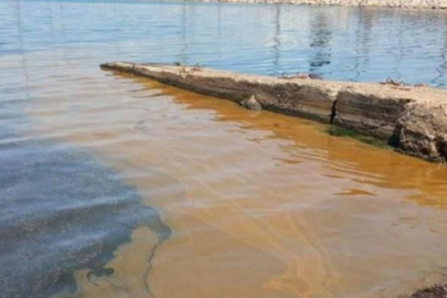 Marmara'daki korkunç görüntünün ardından harekete geçildi! Bir işletmeye inceleme başlatıldı