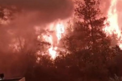 Yangın sırasında çığlıklar her yeri sardı!