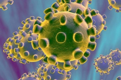 Yeni salgın alarmı!