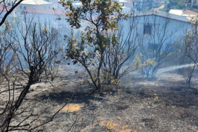 Zeytinlik yangını ile ilgili 2 kişi gözaltına alındı!