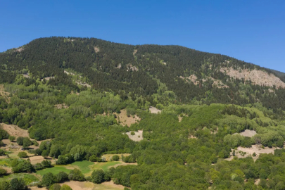 Bazı illerde ormanlara giriş yasağı