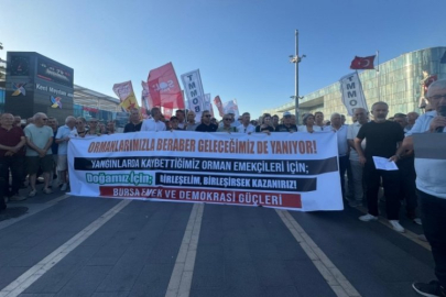 Bursa'da orman yangınlarıyla ilgili dikkat çeken sözler: Yüzde 99'u...