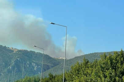 Bursa'da bir orman yangını daha! Yerleşim yerine çok yakın...