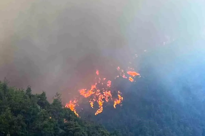 Bursa'da Orman Yangınları Panik Yarattı
